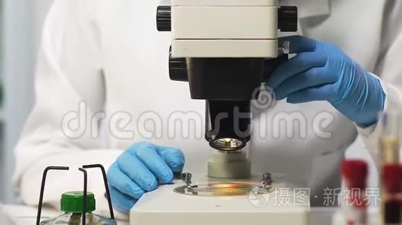 生物学家在显微镜下检查血样，寻找疫苗，特写