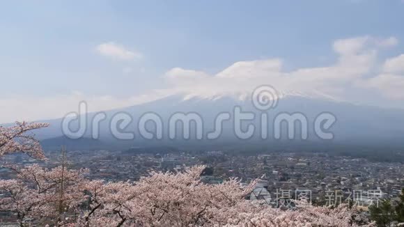 富士山和城市的樱花视频