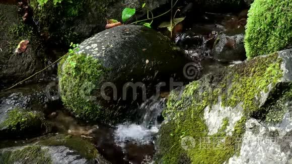 小溪的特写视频