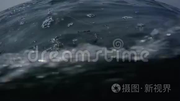 水肺潜水在过度生长的岩石上视频