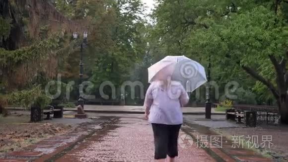 胖姜女的剪影在雨中漫步在公园里，撑着伞，天气观念，后景