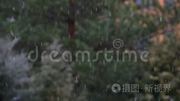 城市公园雨雪高清镜头视频