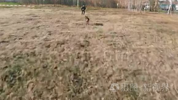 一只受过训练的狗跑在训练者身上，咬着他的手臂穿着保护夹克
