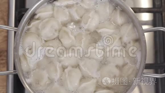 慢镜头顶部观看香料落入锅与饺子在沸水。 自制烹饪工艺