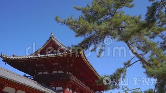 日本奈良的一座大佛像塔台寺视频