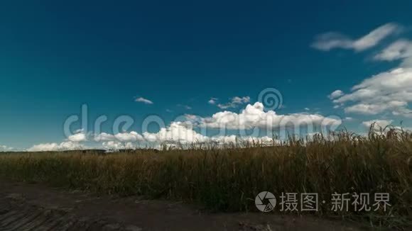 运动中的时间推移。 在一个明亮的夏天。