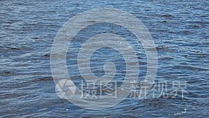 北方河流或大海的冷水视频