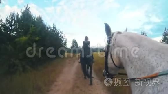 白马跟随着乡间小路上的女骑手视频