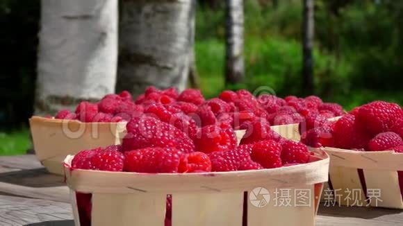 柳条筐里有成熟的红树莓视频