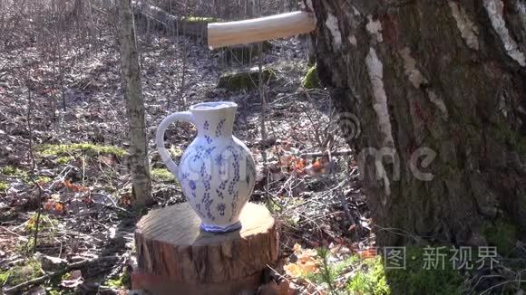 春桦树液滴在装饰陶瓷罐罐里